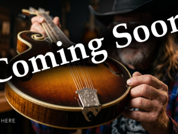 Protected: The Fundamental Mandolin Framework – What’s Missing?